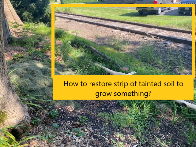 Example of where i'm talking about. 