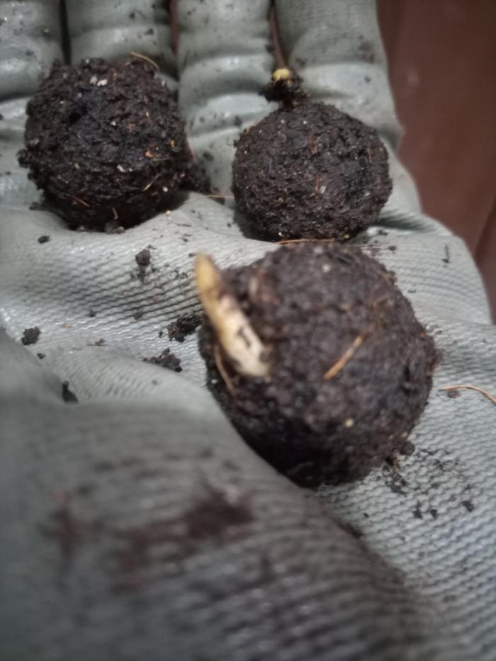 [Thumbnail for 545.jpg]