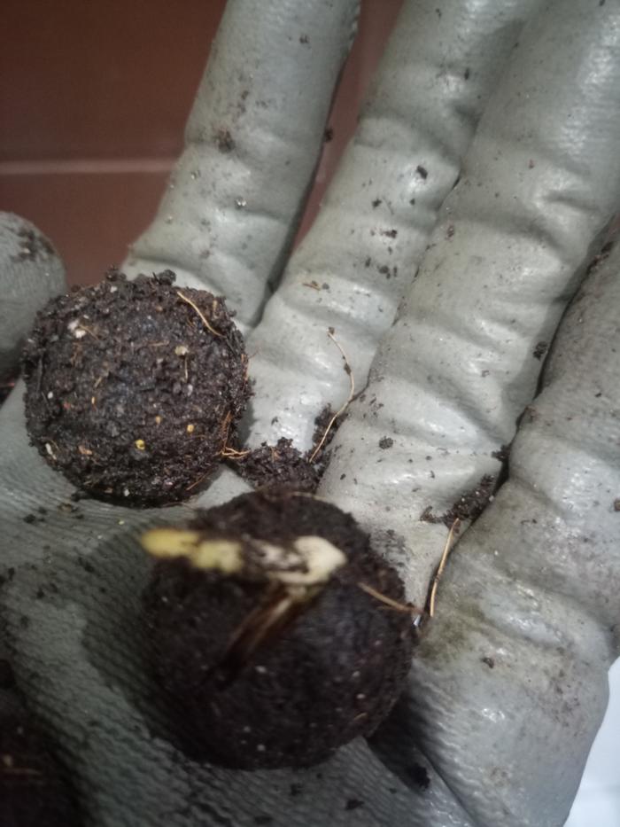 [Thumbnail for 627.jpg]