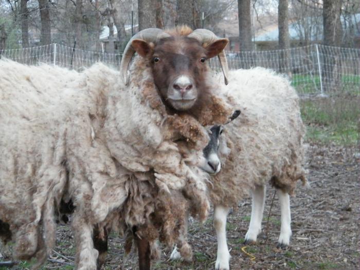 [Thumbnail for DSCF6869.JPG]