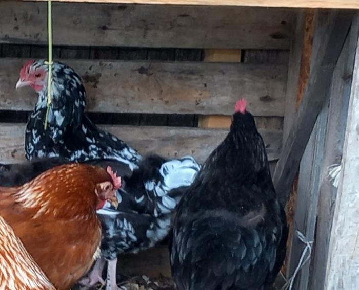 [Thumbnail for 20230718_150101-2.jpg]