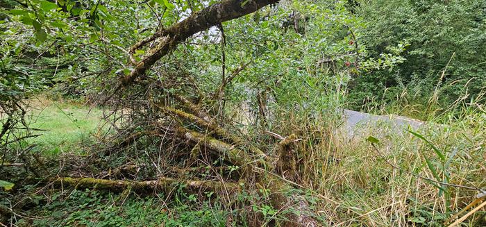 [Thumbnail for 20230919_165824.jpg]