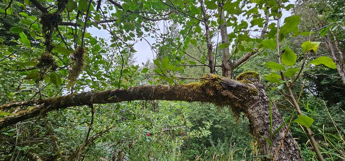 [Thumbnail for 20230919_165831.jpg]