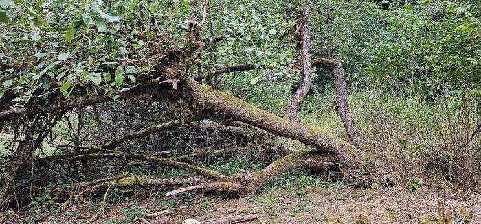 [Thumbnail for 20230919_165752.jpg]