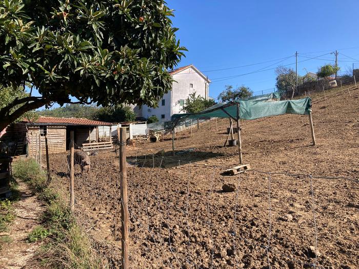 [Thumbnail for WhatsApp-Image-2023-09-21-at-16.32.24.jpg]