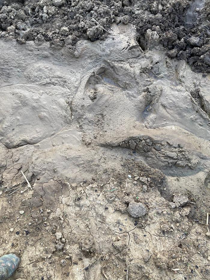 [Thumbnail for WhatsApp-Image-2023-09-21-at-16.32.25.jpg]