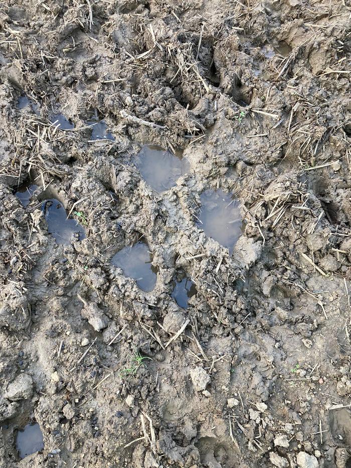 [Thumbnail for WhatsApp-Image-2023-09-21-at-16.32.26.jpg]