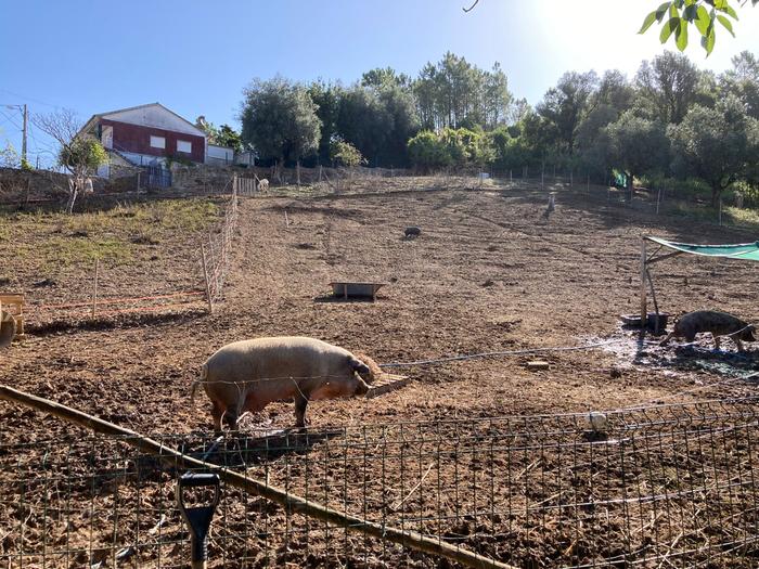 [Thumbnail for WhatsApp-Image-2023-09-21-at-16.32.242.jpg]