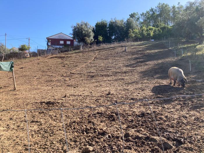 [Thumbnail for WhatsApp-Image-2023-09-21-at-16.32.252.jpg]