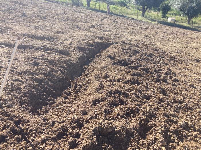 [Thumbnail for IMG_0152.jpg]