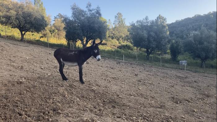 [Thumbnail for IMG_0181.PNG]