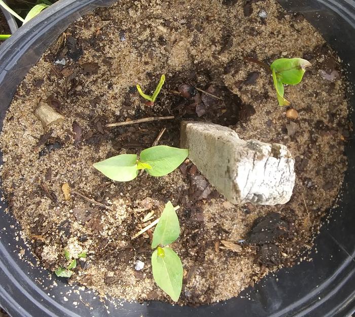 [Thumbnail for 20240417_092849-2.jpg]