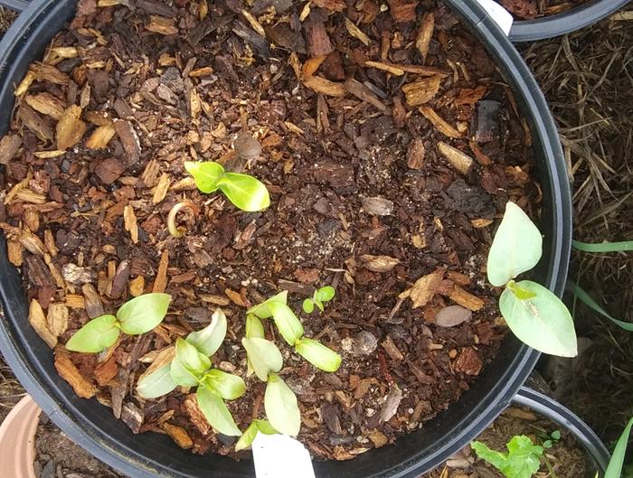 [Thumbnail for 20240417_092925-2.jpg]