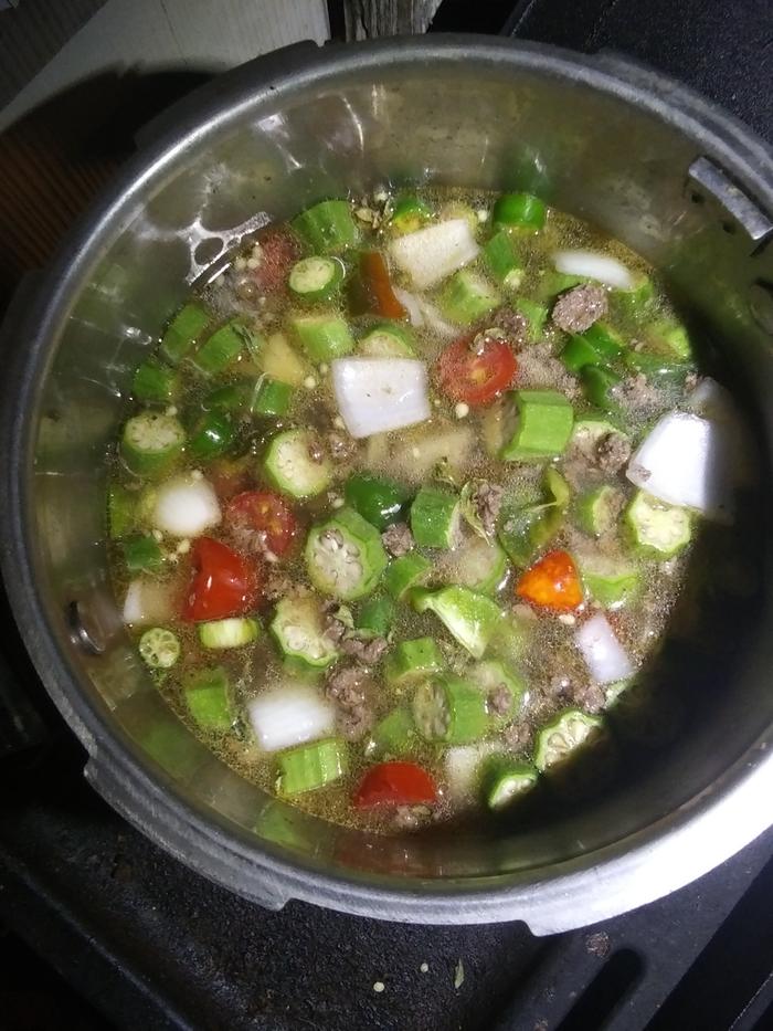 A pot of garden stew with ground venison from our trials 
