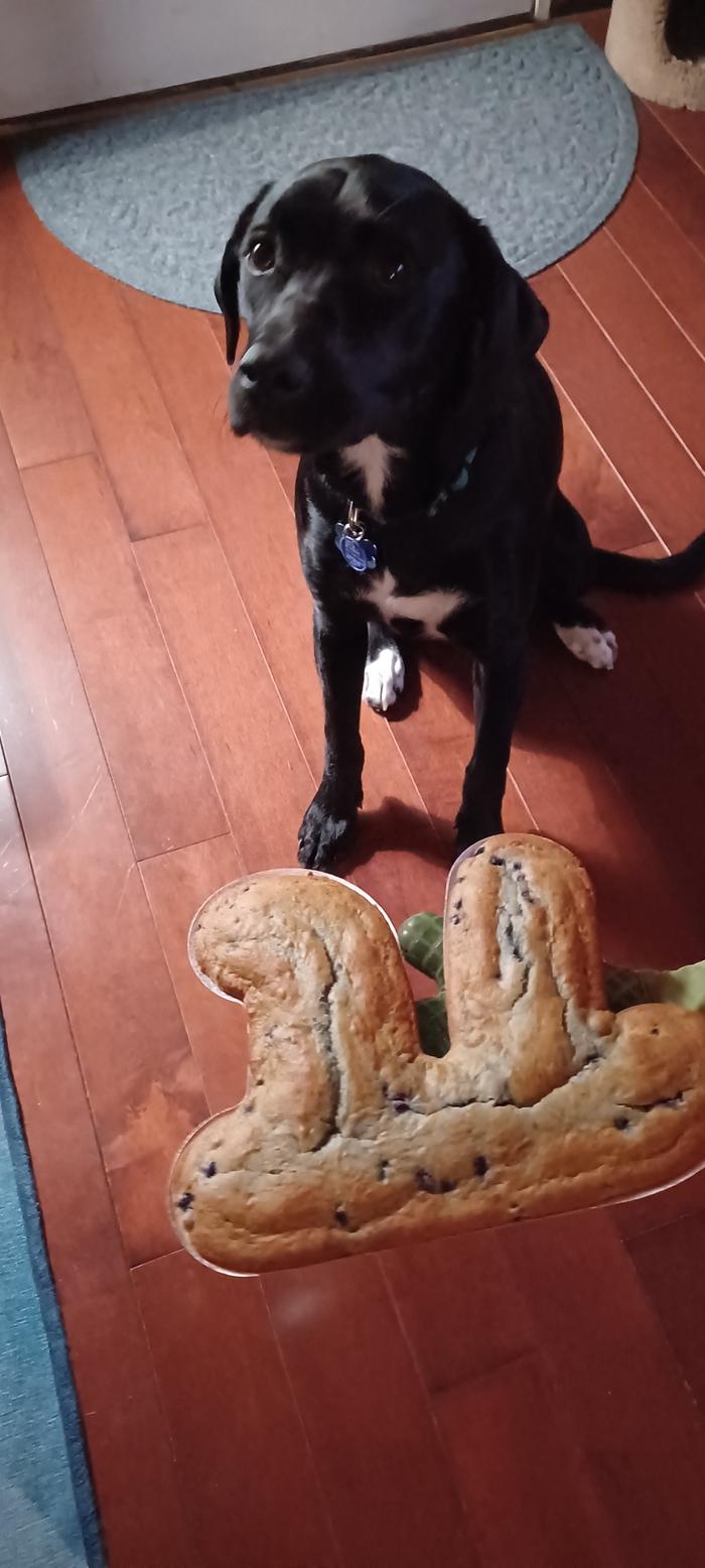 She was so nervous about being polite and waiting for us to say it's ok while she was dying to dig in!