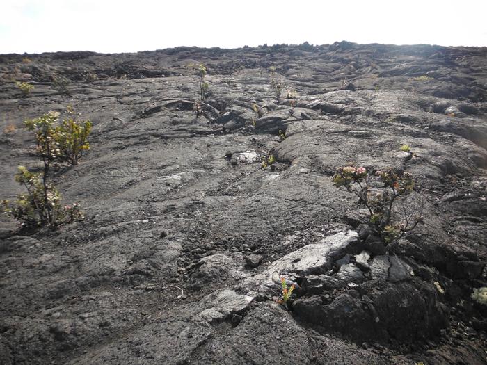 rock piles will pull some moisture out of the air