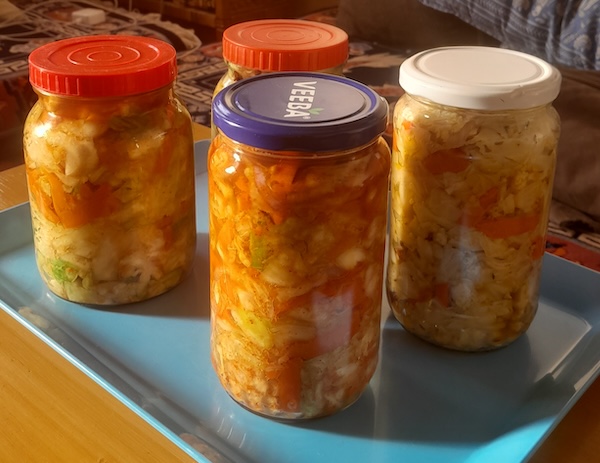 Home sized batch of kimchi and Ladakhi pickle