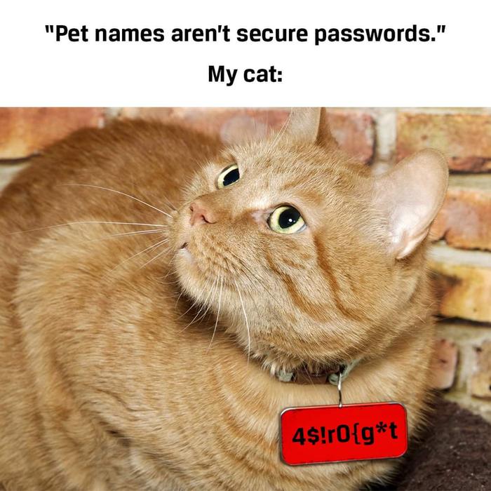 [Thumbnail for FB_IMG_1703782995879.jpg]