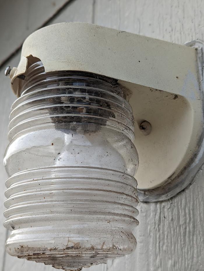 A wasp nest in an outdoor light fixture