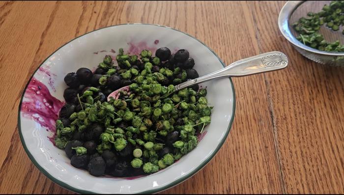 using the seed pods on my salad