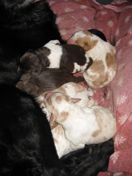Just days old