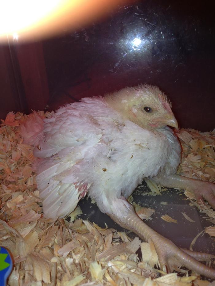 [Thumbnail for image.jpg]