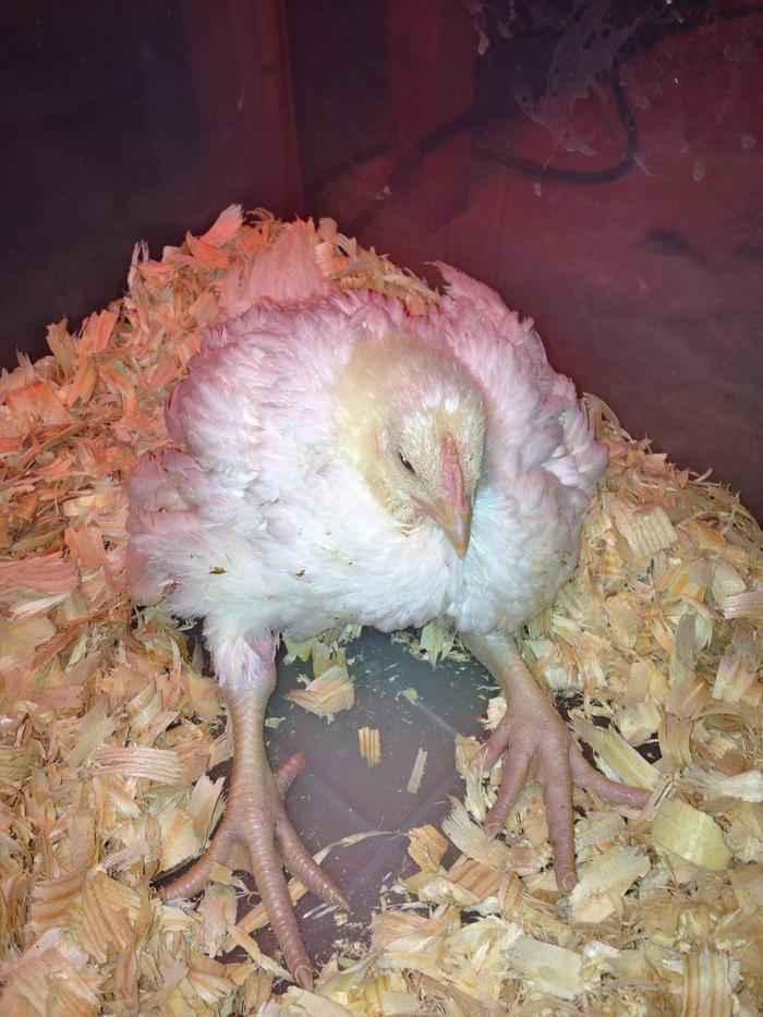 [Thumbnail for image.jpg]