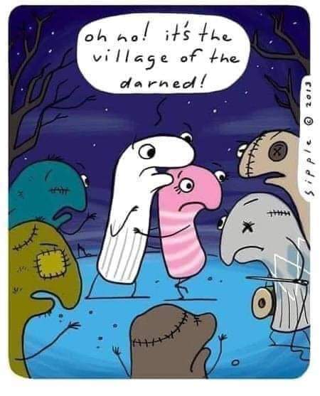 [Thumbnail for FB_IMG_1696608265917.jpg]