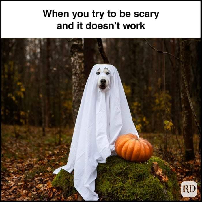 [Thumbnail for FB_IMG_1698174398491.jpg]