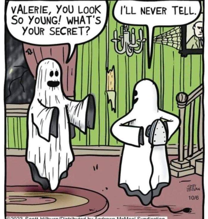 [Thumbnail for FB_IMG_1698077880861.jpg]