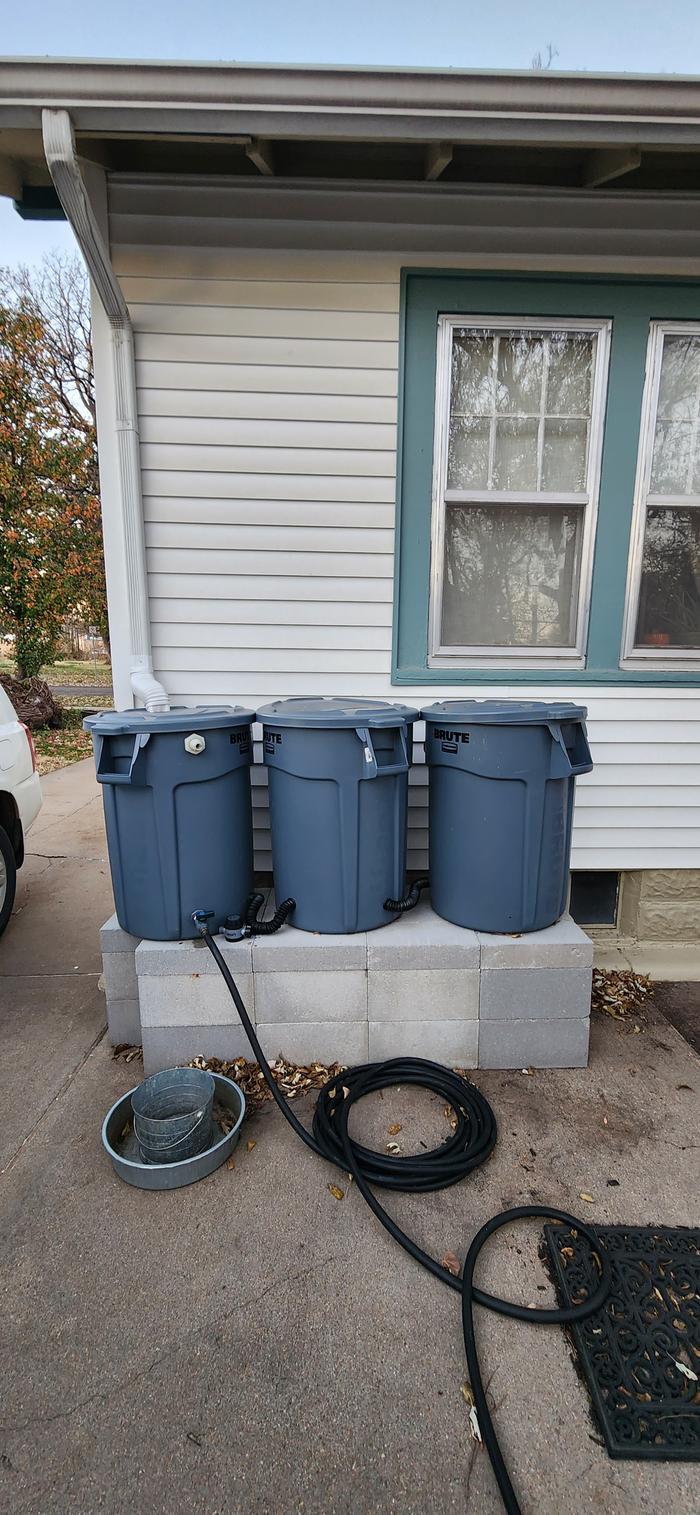 Rain barrel set up