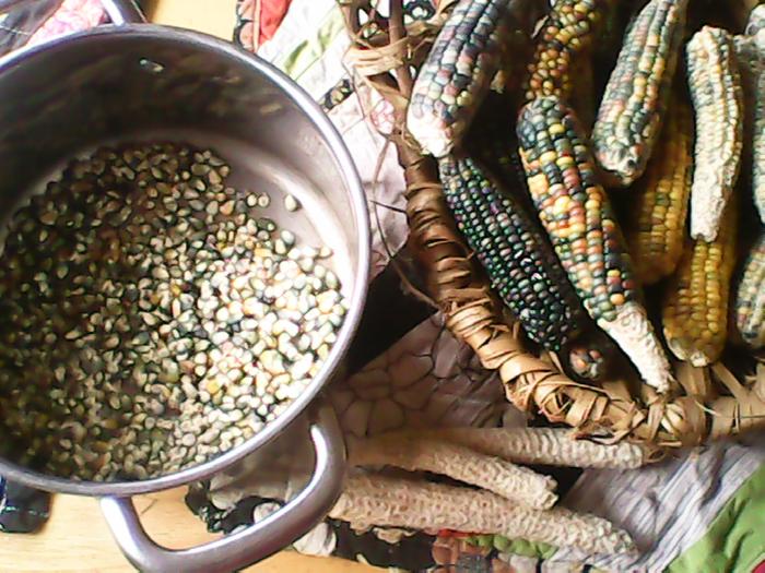 shelling some corn