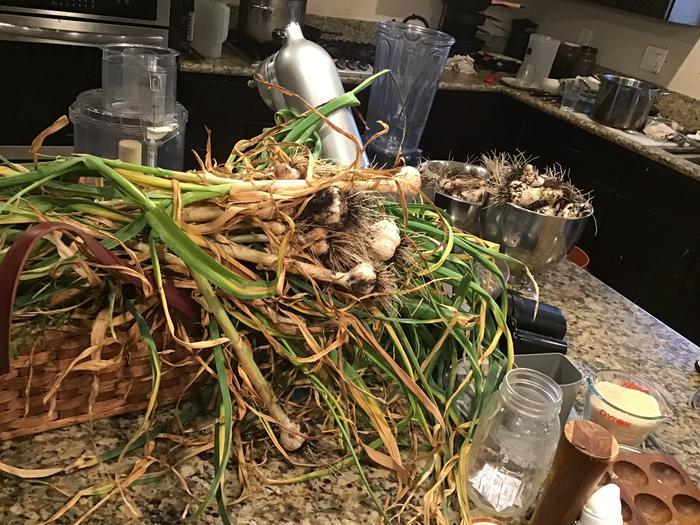 Harvest