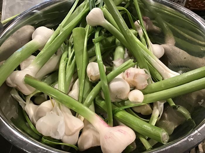 Fresh garlic with top