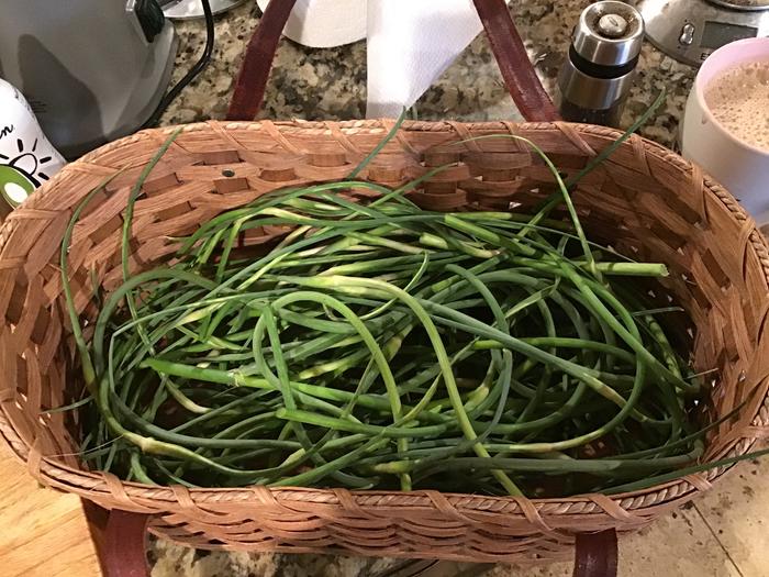 Garlic scapes