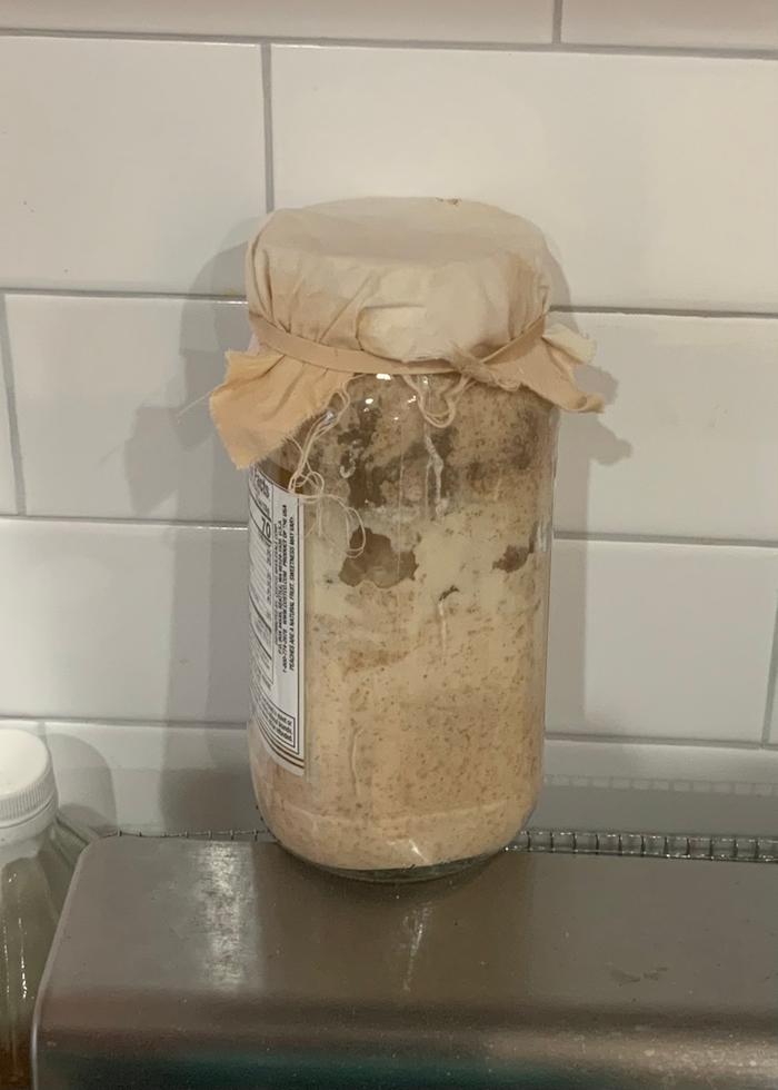 create sourdough starter for fersh bread baking