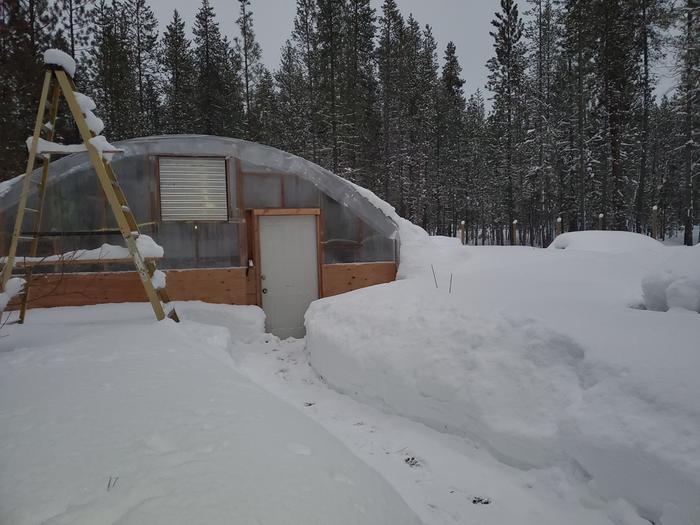 Greenhouse in snow