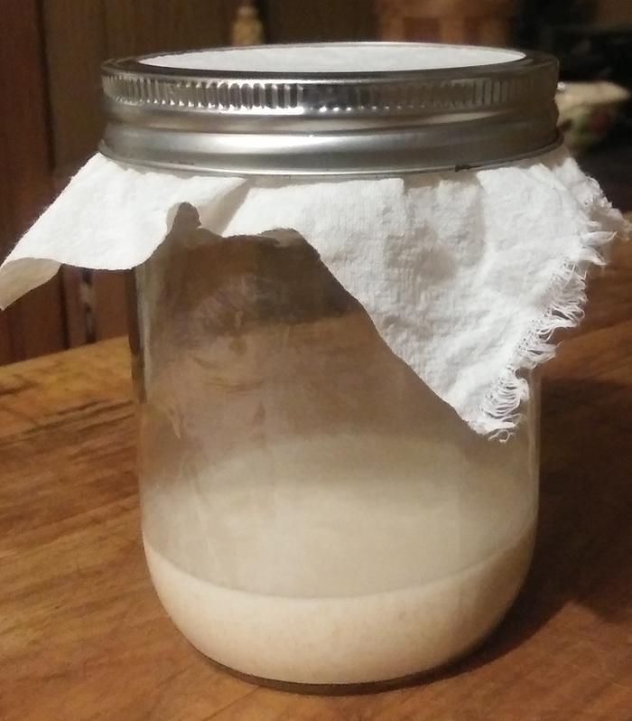 jar of sourdough starter