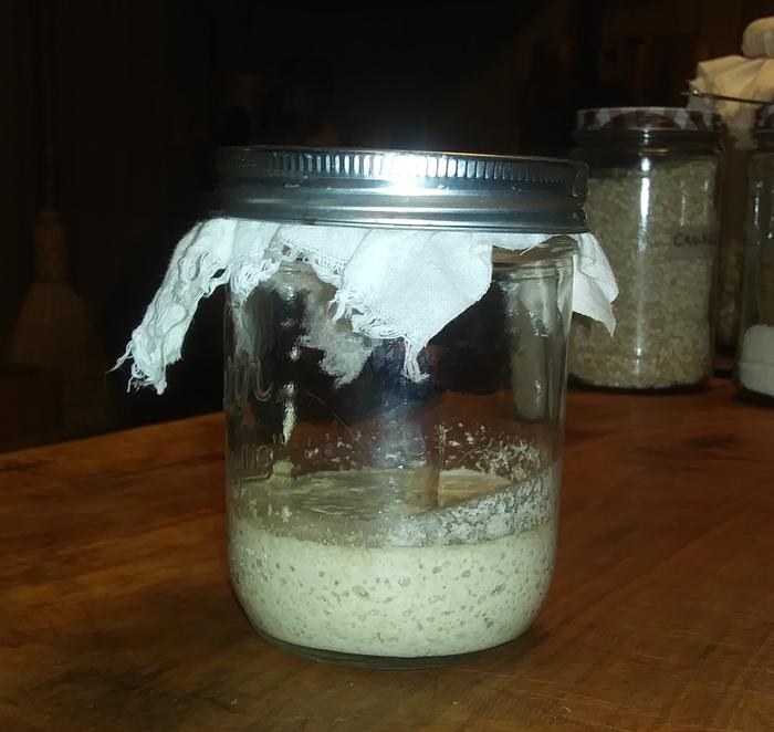 jar of bubbly sourdough starter