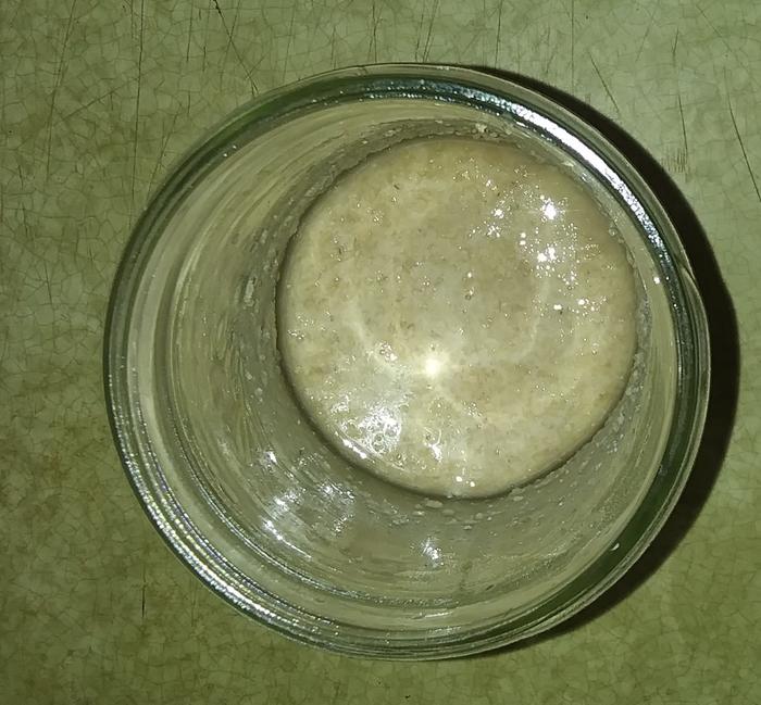 hungry sourdough starter