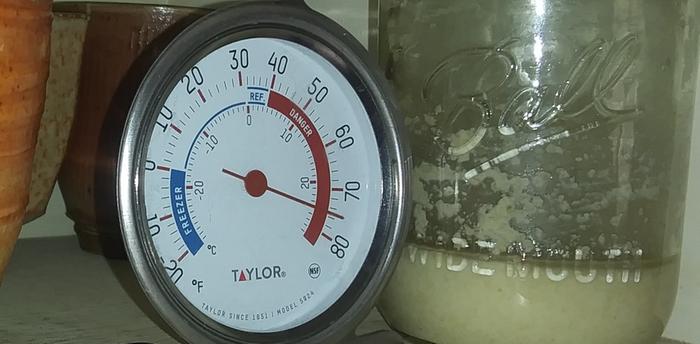 thermometer showing temperature for soursough starter