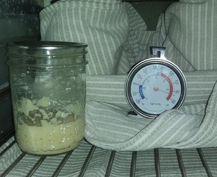 soudough starter annd a thermometer