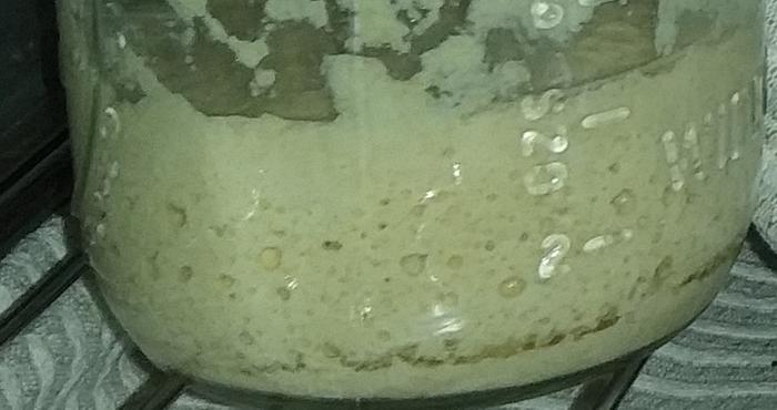 sourdough starter with a line of hooch