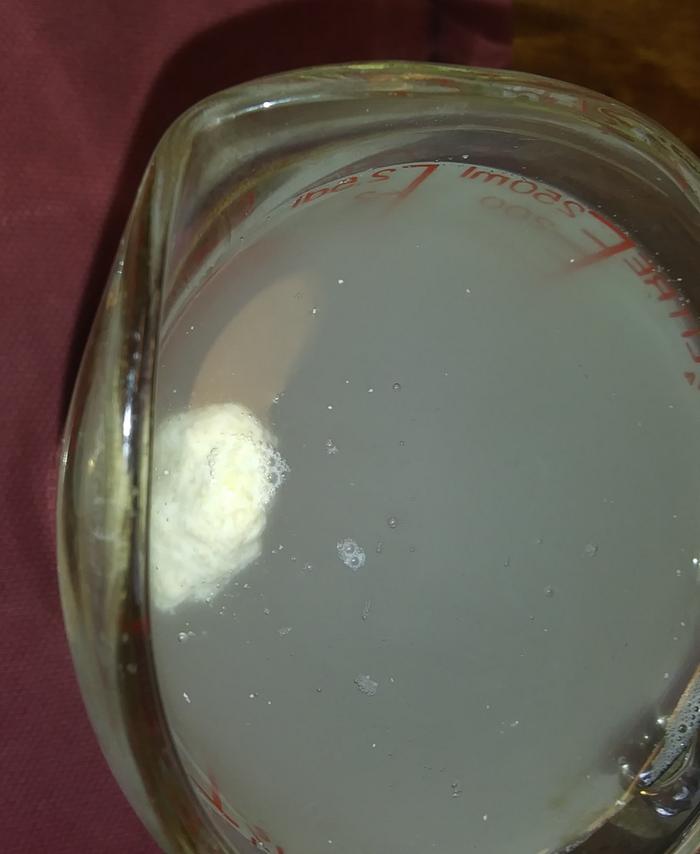 sourdough starter float test