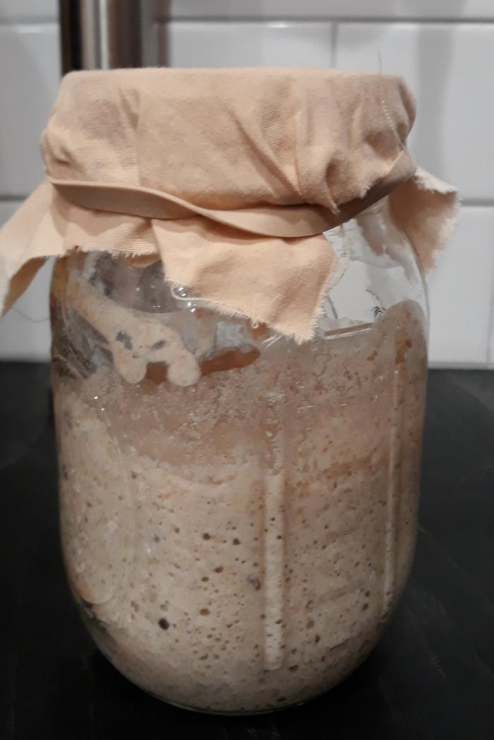 Starter day 6