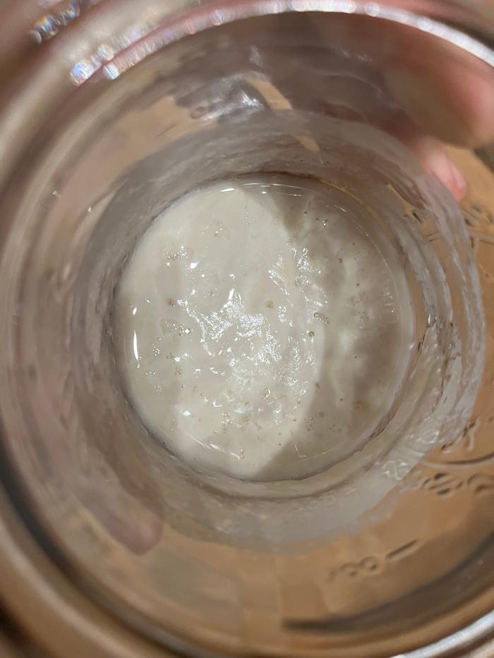 sourdough starter in a jar