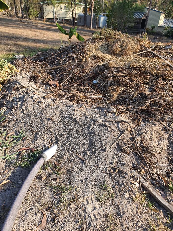 [Thumbnail for 16982147599521150995575008301.jpg]