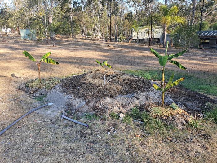 [Thumbnail for 16982151636288687839060573090231.jpg]