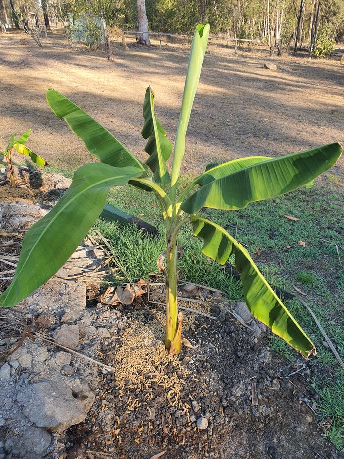 [Thumbnail for 16982152012884132632615830091679.jpg]