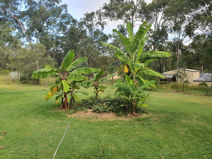 [Thumbnail for 20240401_170957.jpg]